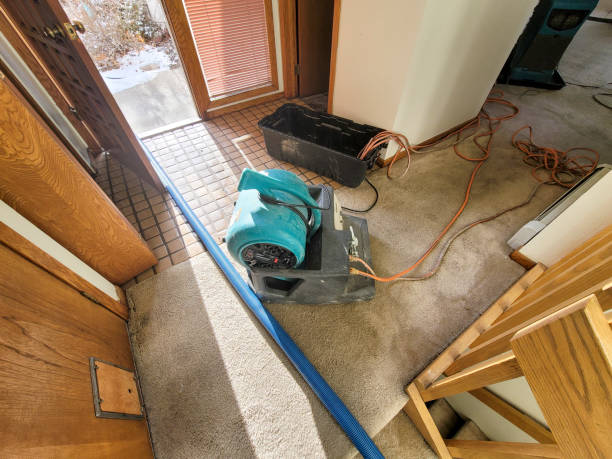 Best Water damage cleanup near me  in Englewood, FL