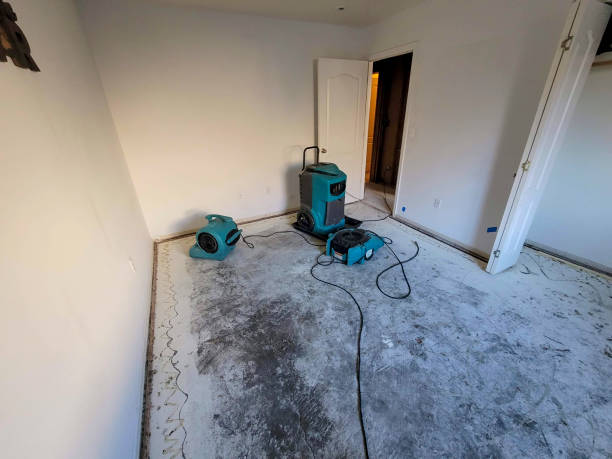 Trusted Englewood, FL Water damage restoration Experts