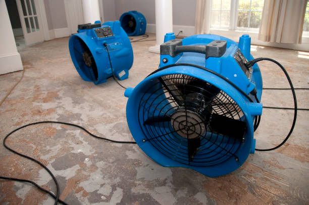 Carpet water damage restoration in Englewood, FL