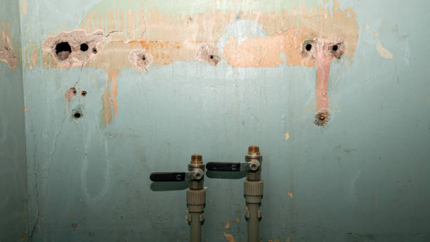 Best Fire Damage Restoration  in Englewood, FL