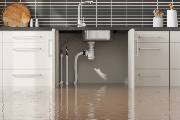 Best 24-hour water damage restoration  in Englewood, FL
