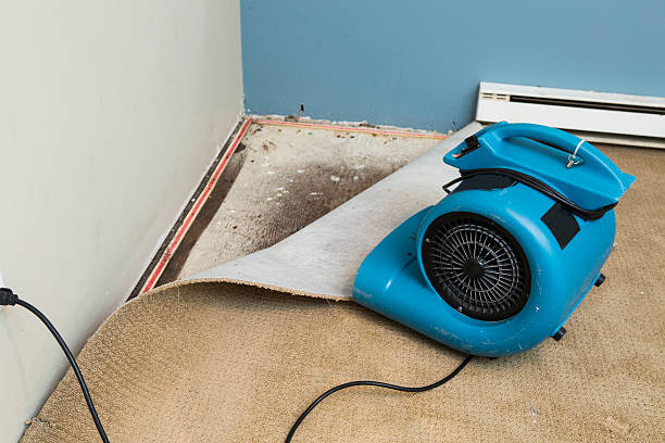 Best Residential water damage restoration  in Englewood, FL